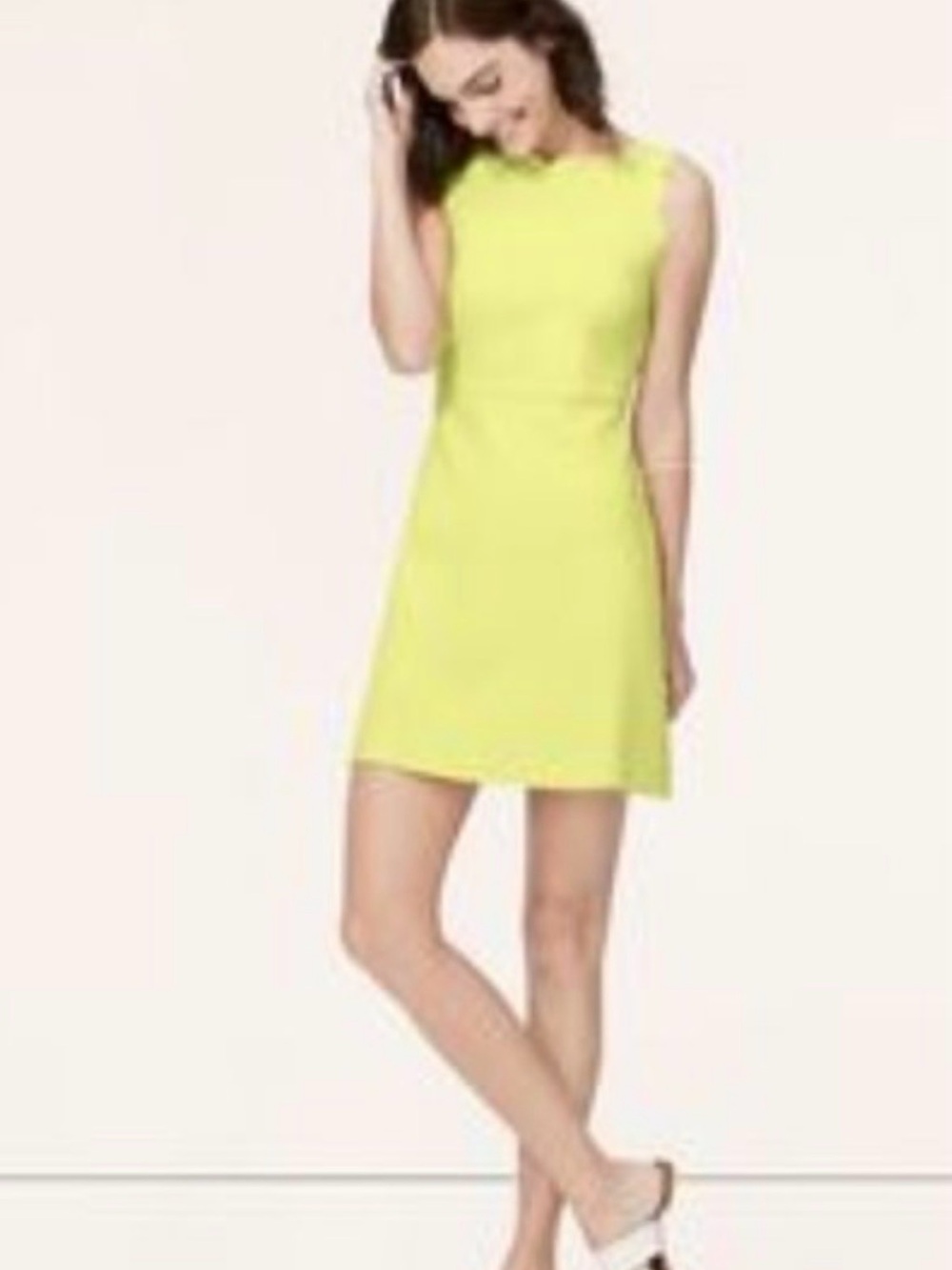 LOFT Sleeveless scallop, neckline Dress